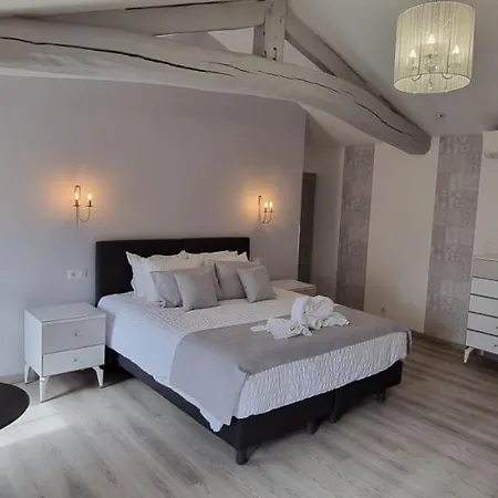 Vakantiehuis DOMAINE DES PIERRES PRECIEUSES - Demeure de Charme - Grand Standing - 15 pers - Spa - Massages - Détente et Bien-être - 30' Bordeaux